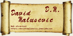 David Malušević vizit kartica